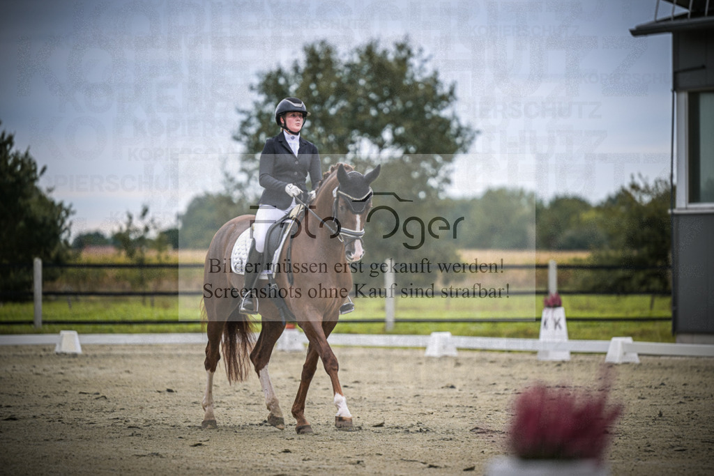 DOS_0886 | Entdecke hochwertige Reitturnierfotos von Foto Oger. Professionell, emotional und authentisch – jetzt Lieblingsmomente im Shop bestellen.Deutschlandweite Turnierfotografie. - Realisiert mit Pictrs.com