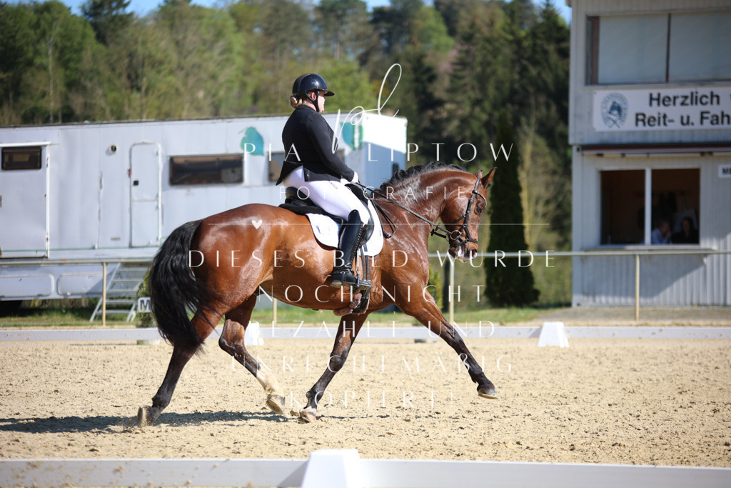 IMGT8669 | pl-fotografie