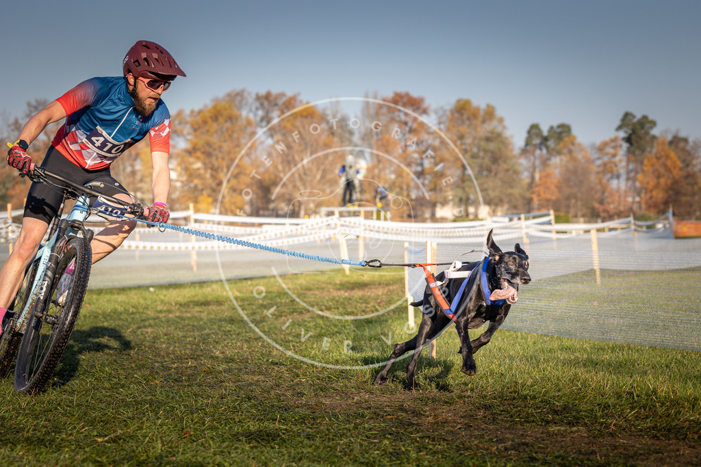 CaniXpix_0L8A4041 | Hundefotografie, Tierfotograf, Pfotenfotografie, Fotoshooting Hund, Hunde Portrait, Hundesport, Hundeportraits, Heideshooting, Hunde, Sportfotograf, Hundefotograf, Turnierhundsport, THS,  - Realisiert mit Pictrs.com