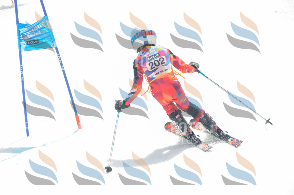 _ELE6936 | holidayphoto