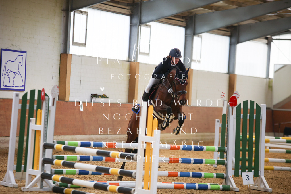 IMGT1997 | pl-fotografie