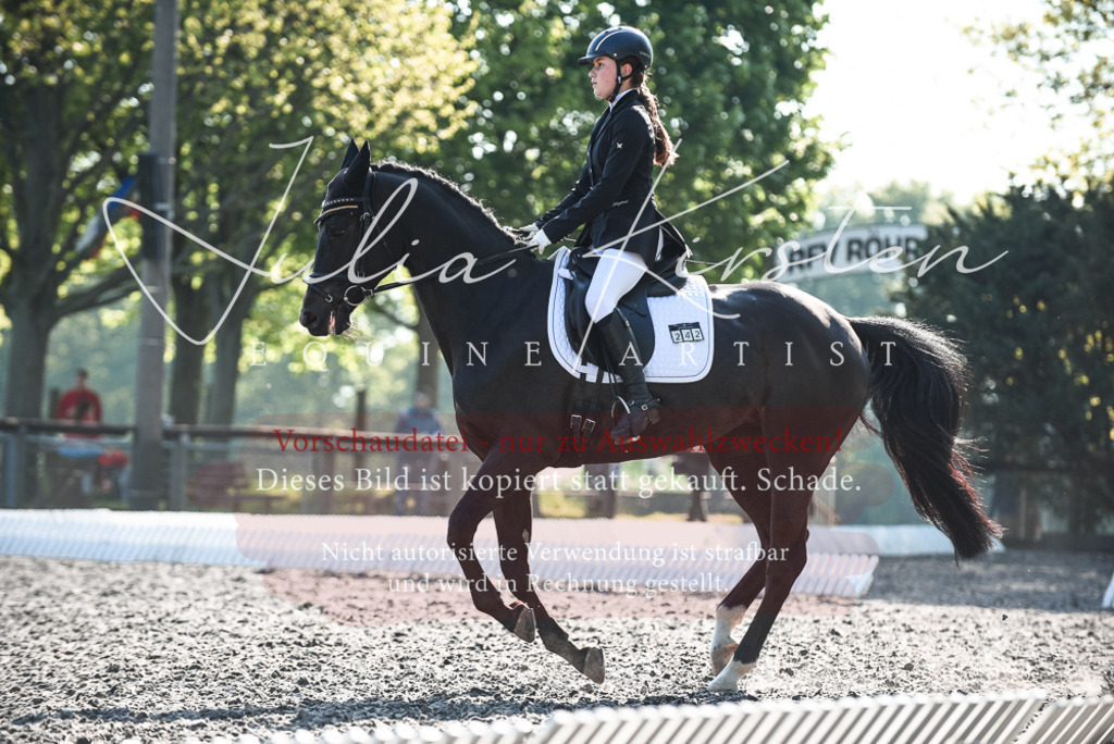 DSC_8352 | Pferde- und Turnierfotografie in Westsachsen. Pferdeportraits, Auftragszeichnungen und intuitive Kunst.