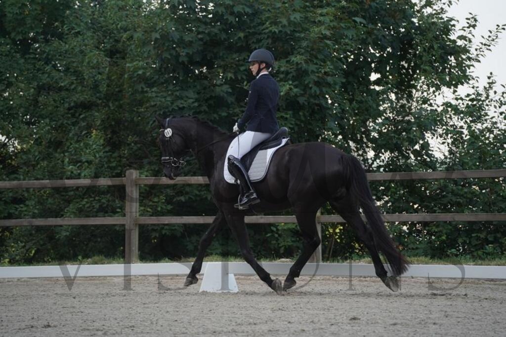 tgbhfreitag (73) | d.tail Visions - Shop - Realisiert mit Pictrs.com