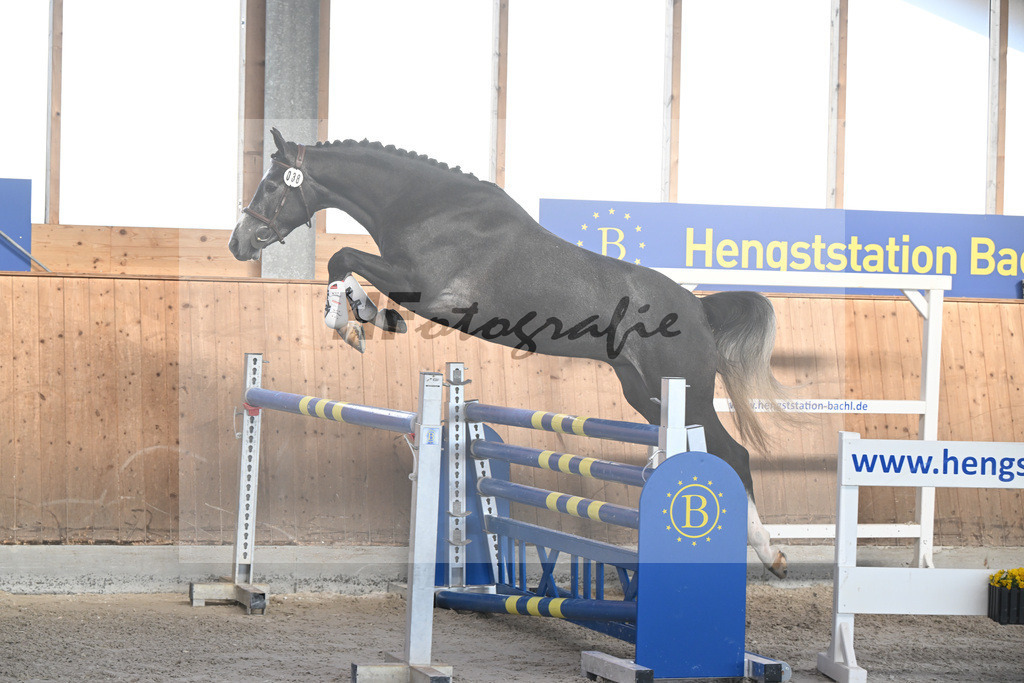 Kat-Nr. 38 Sky Blue EH v. Cero Blue TN_Feichtelbauer_14262045 | hf-fotografie - Realisiert mit Pictrs.com