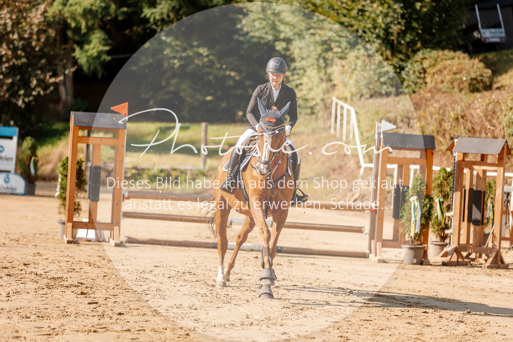 3I6A3293 | Stimmungsvolle Portraits und Reitsportfotografie im Ruhrgebiet und im Münsterland.

Pferdefotografie, Hundefotografie, Tierfotografie, Reportagen, Portraits von Tier und Mensch, Turnierfotografie in Bochum, Recklinghausen, Marl, Haltern am See, Dülmen.. - Realisiert mit Pictrs.com