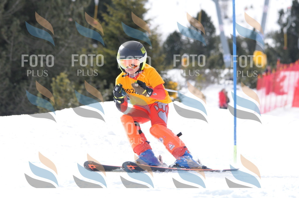 C7533 | holidayphoto