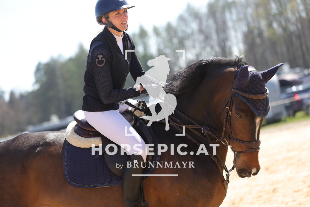 0P6A0253 | Willkommen bei Brunnmayr - Design & Fotografie – Ihrem Spezialisten für Reitturniere und Pferdeveranstaltungen in Oberösterreich, Salzburg und Bayern! Seit über 17 Jahren sind wir leidenschaftlich dabei.
