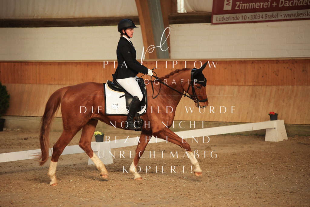 IMGT3772 | pl-fotografie