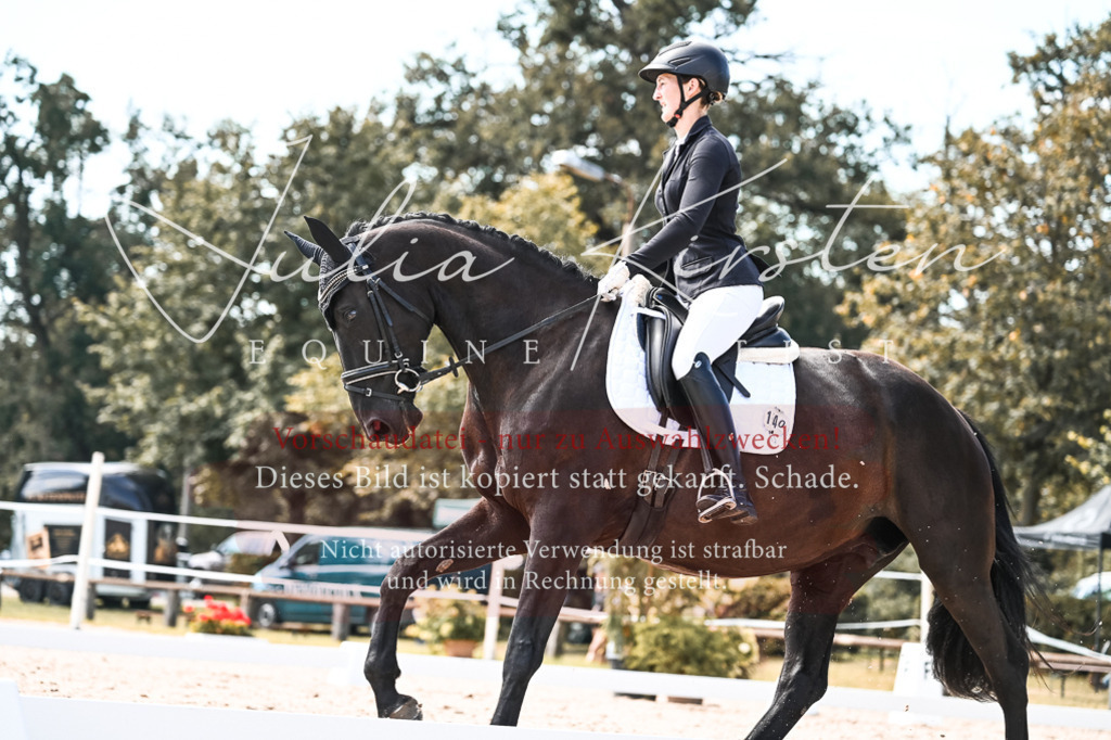 DSC_5341 | Pferde- und Turnierfotografie in Westsachsen. Pferdeportraits, Auftragszeichnungen und intuitive Kunst.