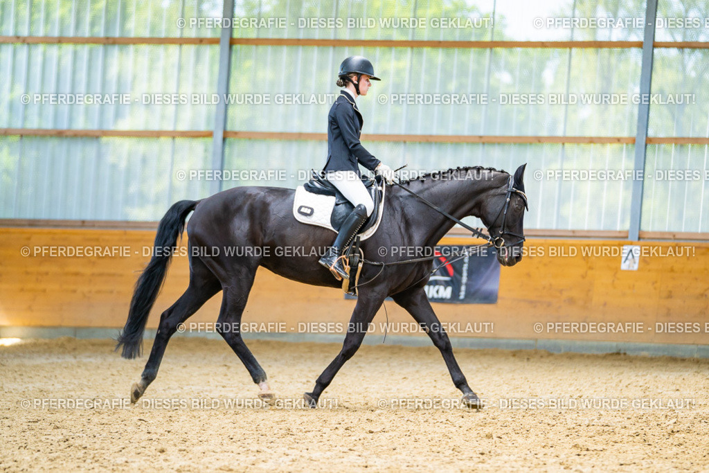 DSC09361 | Pferdegrafie