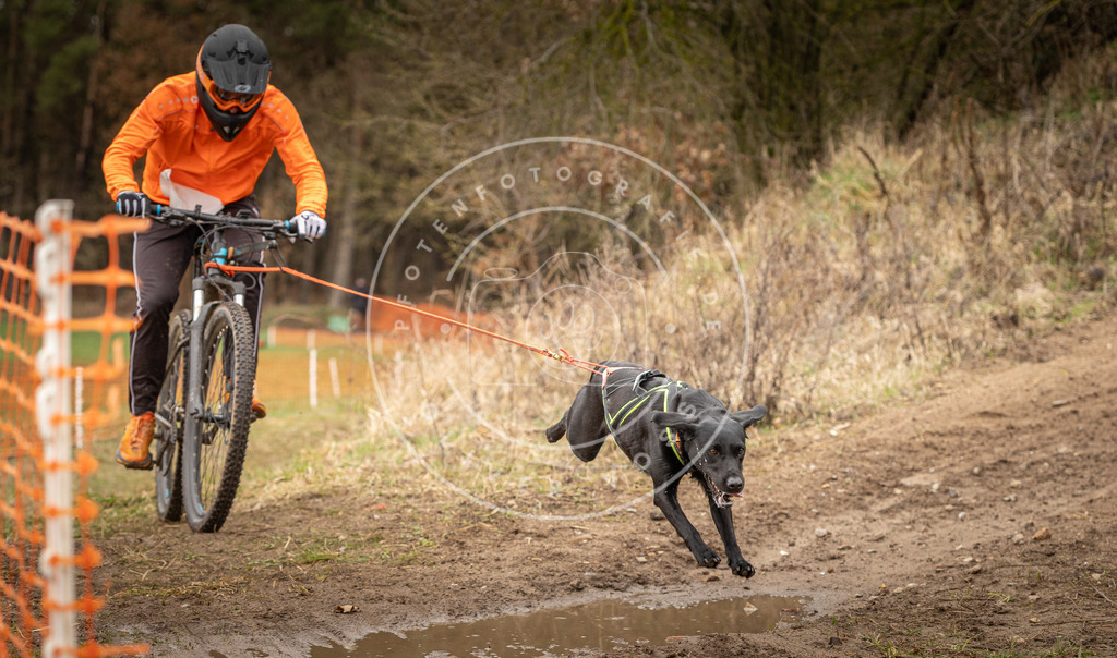 DV3A1689 | Hundefotografie, Tierfotograf, Pfotenfotografie, Fotoshooting Hund, Hunde Portrait, Hundesport, Hundeportraits, Heideshooting, Hunde, Sportfotograf, Hundefotograf, Turnierhundsport, THS,  - Realisiert mit Pictrs.com