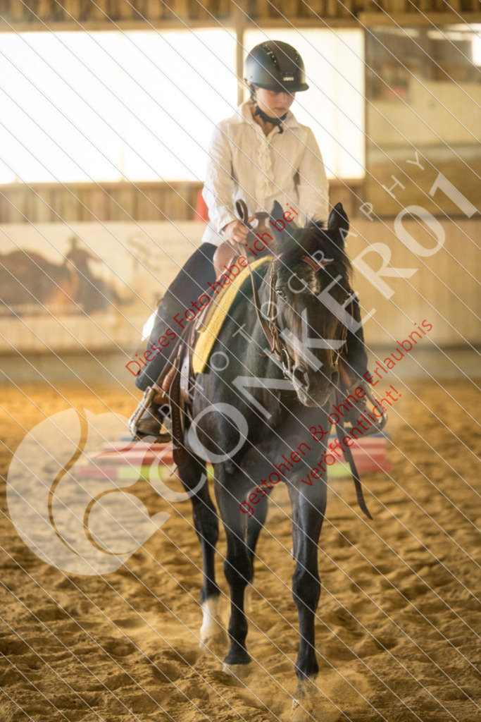 IMG_1621 | Sport-, Event- und Tierfotos in Profiqualität. Einfach auswählen, bestellen und herunterladen. Dein Moment – perfekt festgehalten.