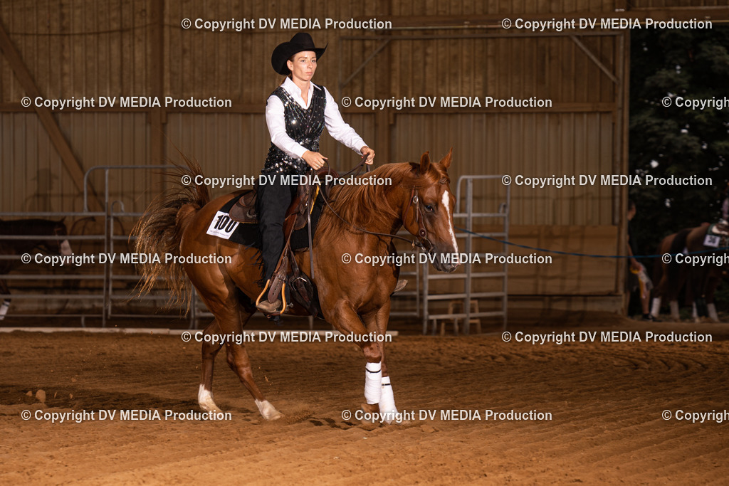 NID01036 | dv-media-shop - Realisiert mit Pictrs.com