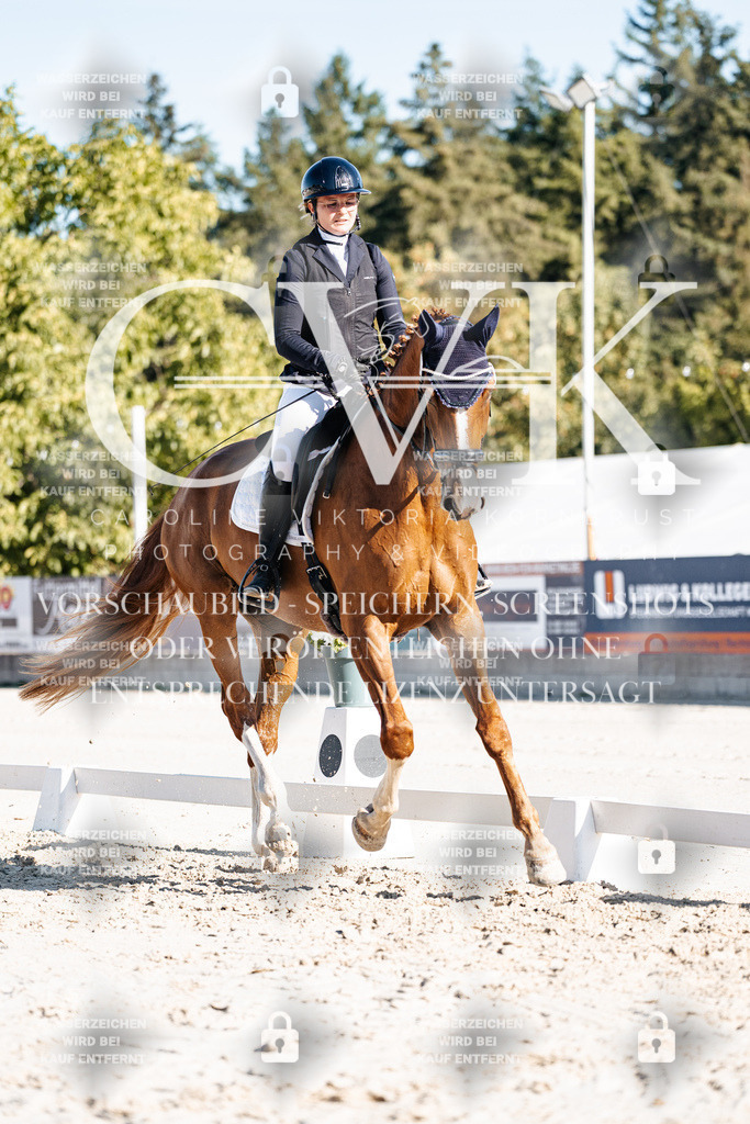 CK907740 | Turnierfotografie Pferdefotografie Trier Rheinland-Pfalz Pferdesport Reitsport Tierfotografie Sportfotografie Pferdevideo Pferdevideografie Equestrianvideography equestrianphotography  - Realisiert mit Pictrs.com