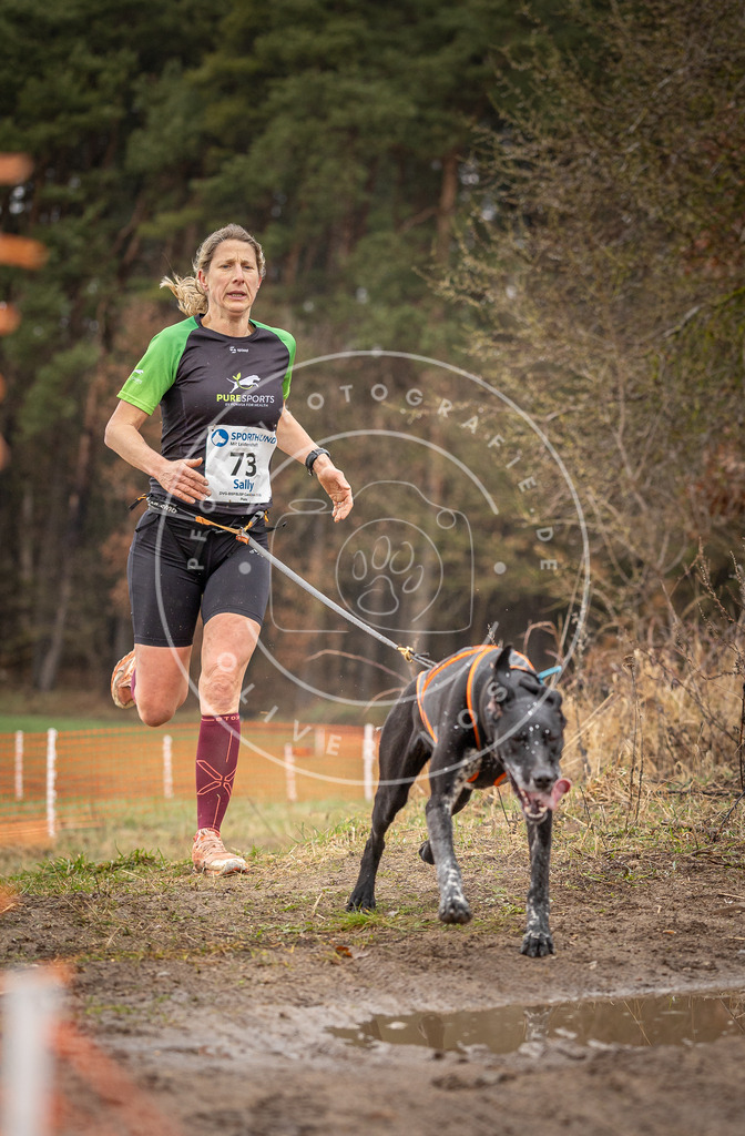DV3A0243 | Hundefotografie, Tierfotograf, Pfotenfotografie, Fotoshooting Hund, Hunde Portrait, Hundesport, Hundeportraits, Heideshooting, Hunde, Sportfotograf, Hundefotograf, Turnierhundsport, THS,  - Realisiert mit Pictrs.com