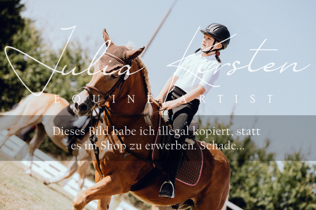 DSC_6910 | Pferde- und Turnierfotografie in Westsachsen. Pferdeportraits, Auftragszeichnungen und intuitive Kunst.