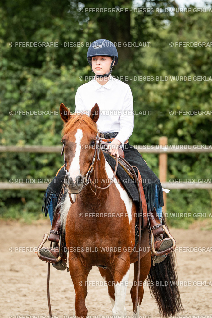 DSC04014 | Pferdegrafie