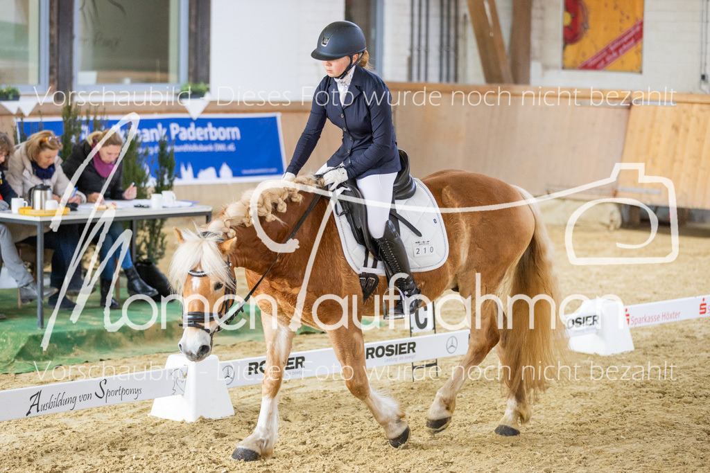 Sth-LPO25-L-Kür-073 | MomenTaufnahmen Pferdesportfotos