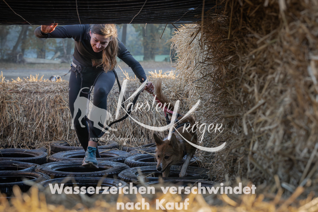 0919_ZZ92390-Verbessert-RR | kk-dogfotos