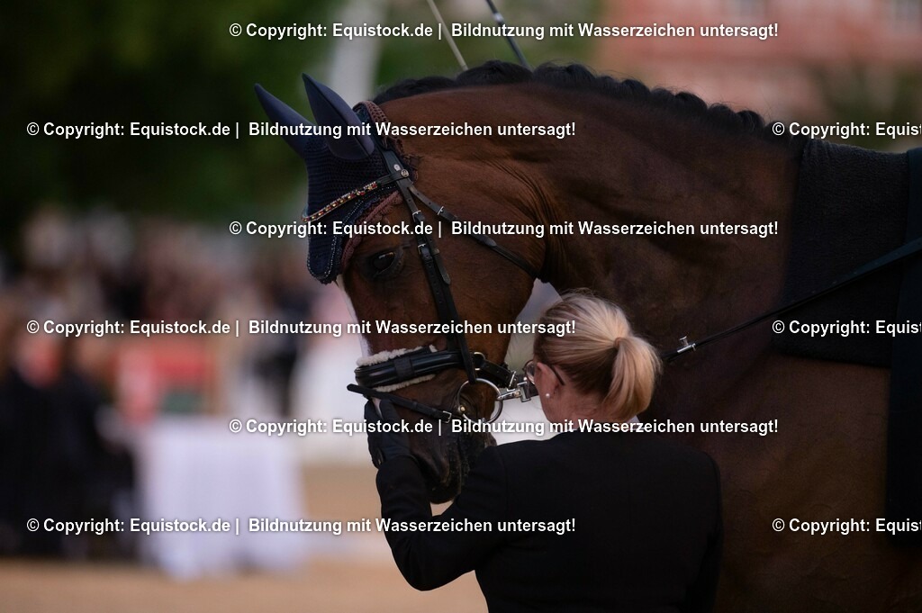 20230527_Voltigieren_NASPA_Flutlicht_0246 | equistock