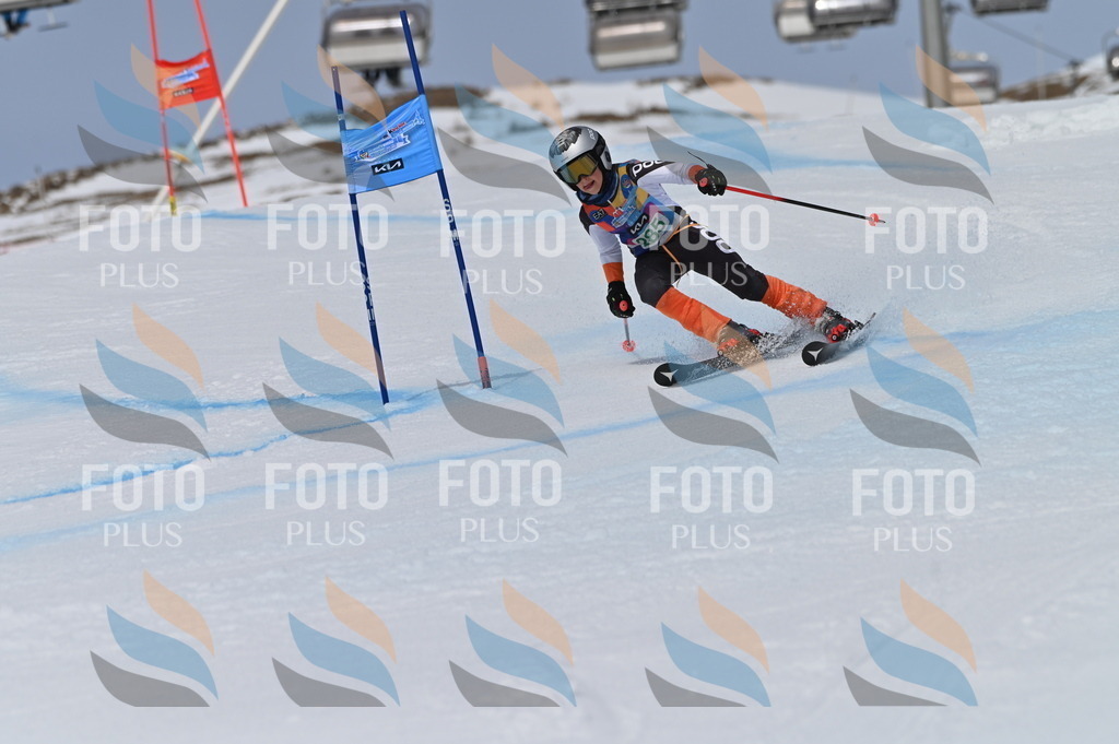 BGV_5682 | holidayphoto