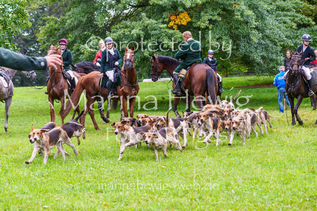 Jagd Perdoel 26 Sony-04198_MarinaHewig | Fotografie, FotoArt, PferdesportArt, Pferdesportfotografie, Landschaftsfotografie, Reisefotografie, Reise, Pferde - Realisiert mit Pictrs.com