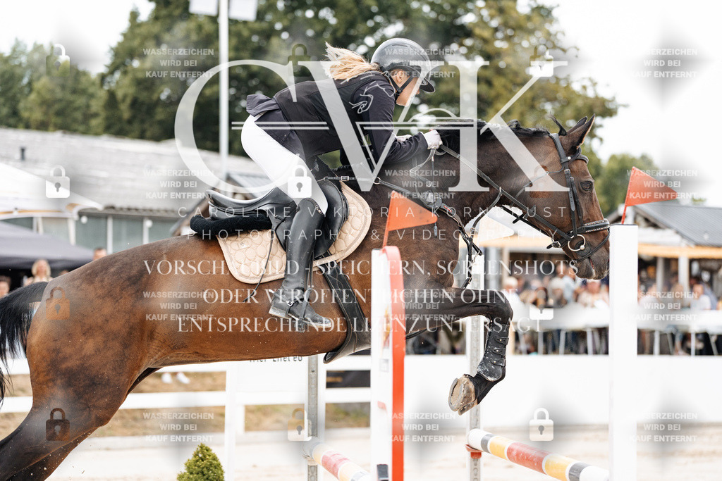 CK906344 | Turnierfotografie Pferdefotografie Trier Rheinland-Pfalz Pferdesport Reitsport Tierfotografie Sportfotografie Pferdevideo Pferdevideografie Equestrianvideography equestrianphotography  - Realisiert mit Pictrs.com