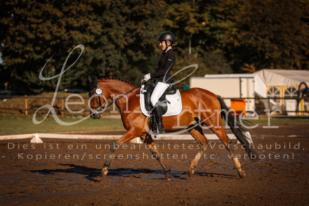 13.SoDrA100208 | Leoni Ertmer Photography - Realisiert mit Pictrs.com