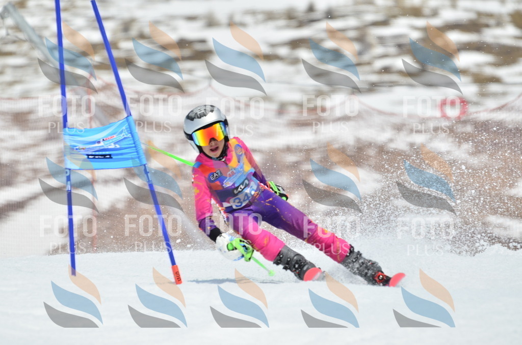 _ELE2618 | holidayphoto