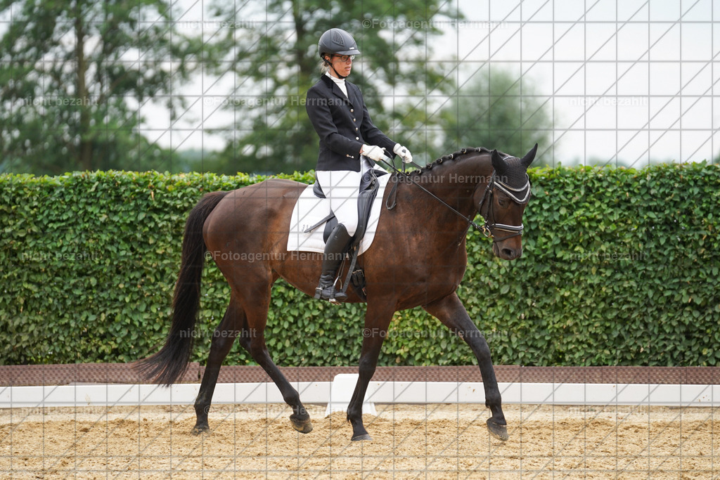 20240630-FAH00879 | Turnierbilder Schwabmünchen, Dressurbilder, Springreitturnier, Reitsportbilder, Turnierfotografen Bayern, Turnierfotograf