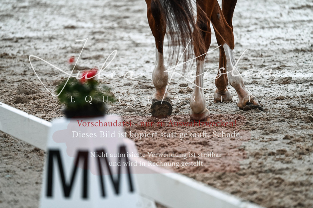 DSC_4298 | Pferde- und Turnierfotografie in Westsachsen. Pferdeportraits, Auftragszeichnungen und intuitive Kunst.