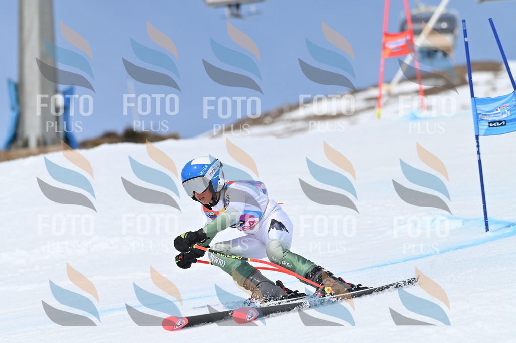 BGV_2685 | holidayphoto