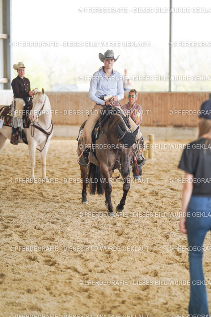 DSC02286 | Pferdegrafie