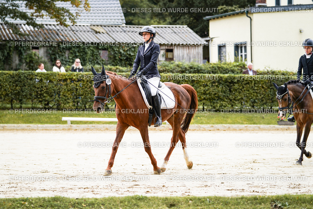 DSC04414 | Pferdegrafie