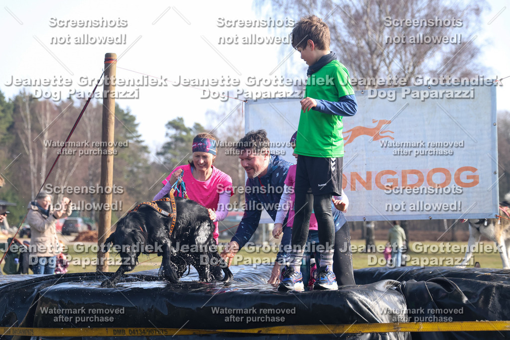 Dog Paparazzi - Strongdog North Mrz26-1073 | Dog Paparazzi Jeanette Grottendiek Fotografie & Videografie - Realisiert mit Pictrs.com
