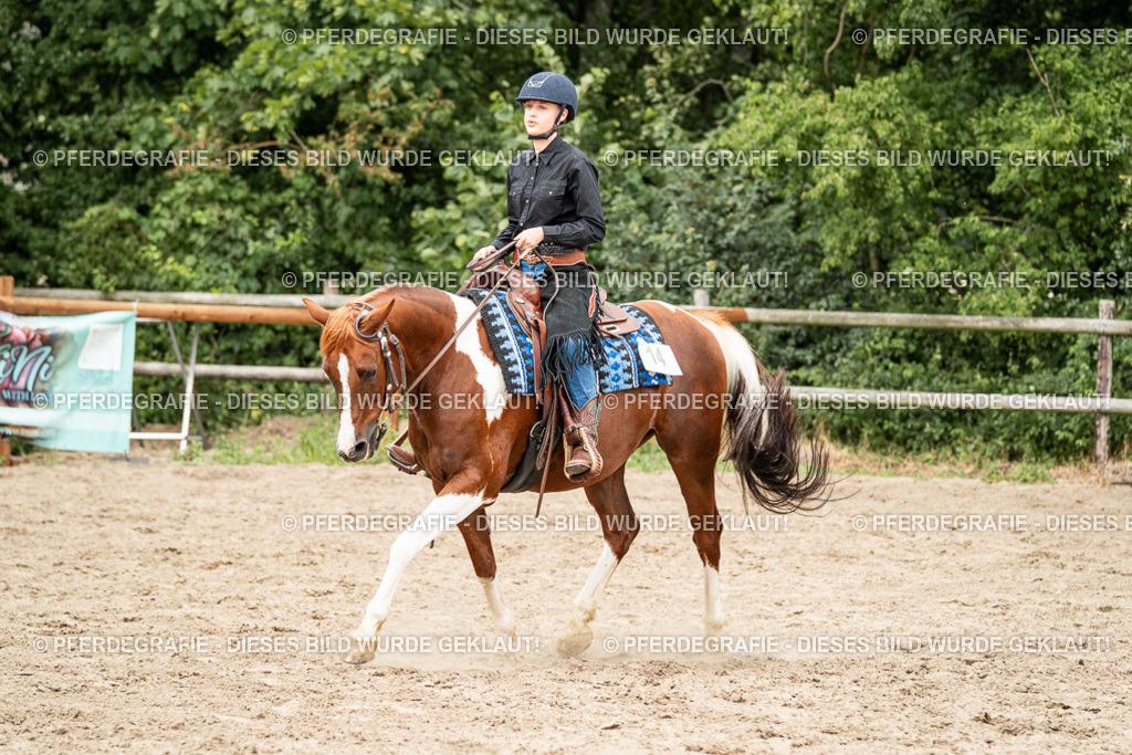 DSC01251 | Pferdegrafie