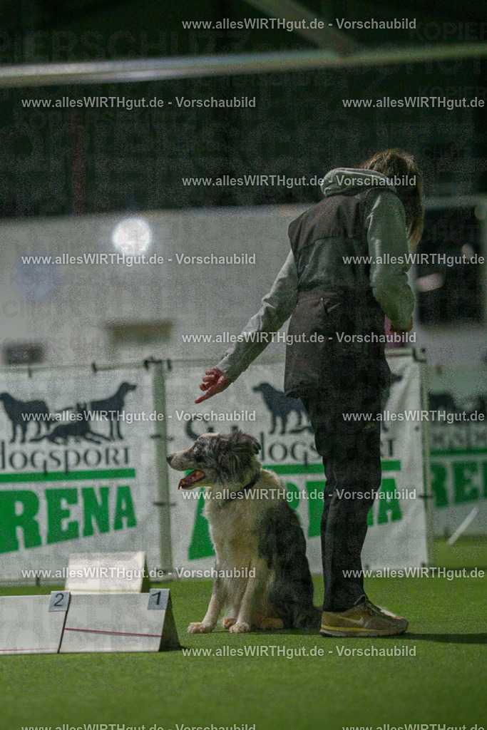 7R504418 | Professionelle Tierfotografie in Mönchengladbach von Daniel Wirth (allesWIRTHgut). Liebevolle & natürliche Bilder von Hunden & Katzen für unvergessliche Erinnerungen.