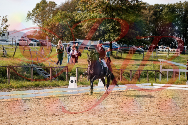 2026_10_03_Siefer-Hof_131716_Z63_79120168 | Professionelle Reitsport-, Turnier- und Eventfotografie von Robert Broda. Galerien mit ausgewählten und bearbeiteten Bildern direkt online ansehen und bestellen.