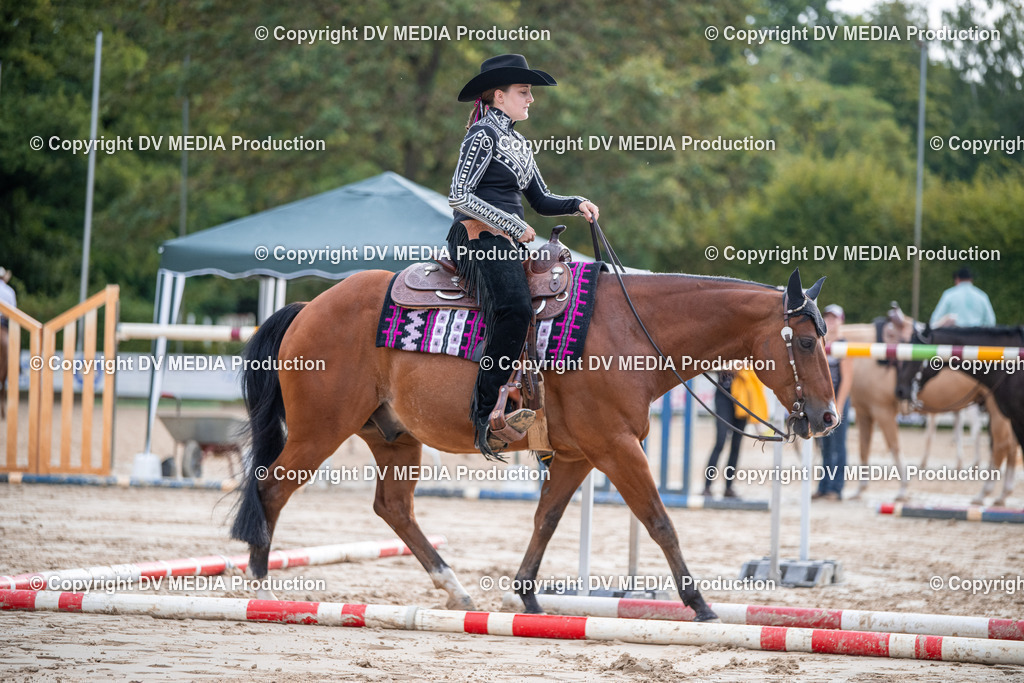 ZS3_4639 | dv-media-shop - Realisiert mit Pictrs.com