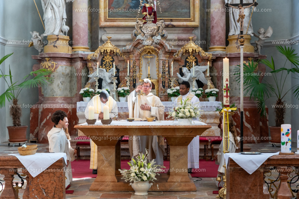 _DSC2713 | Hier finden Sie die Online Foto-Galerie von fotograf-passau.com und marius-handrugan.de. Suchen Sie sich direkt Ihre Lieblingsbilder aus, ob als Ausdruck oder Download. - Realisiert mit Pictrs.com