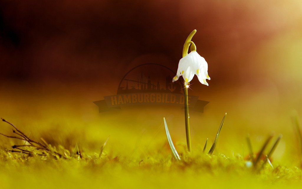 stativkunst-749 | Exklusive Hamburg collagen, tolle Segelbilder und viele weitere tolle Motive auf Leinwand, Poster, Alu-Dibond, u.v.m. findet Ihr bei uns auf hamburgbild.de. Findet Euer Wandbild für Euer Zuhause, Büro oder die  Praxis…. - Realisiert mit Pictrs.com