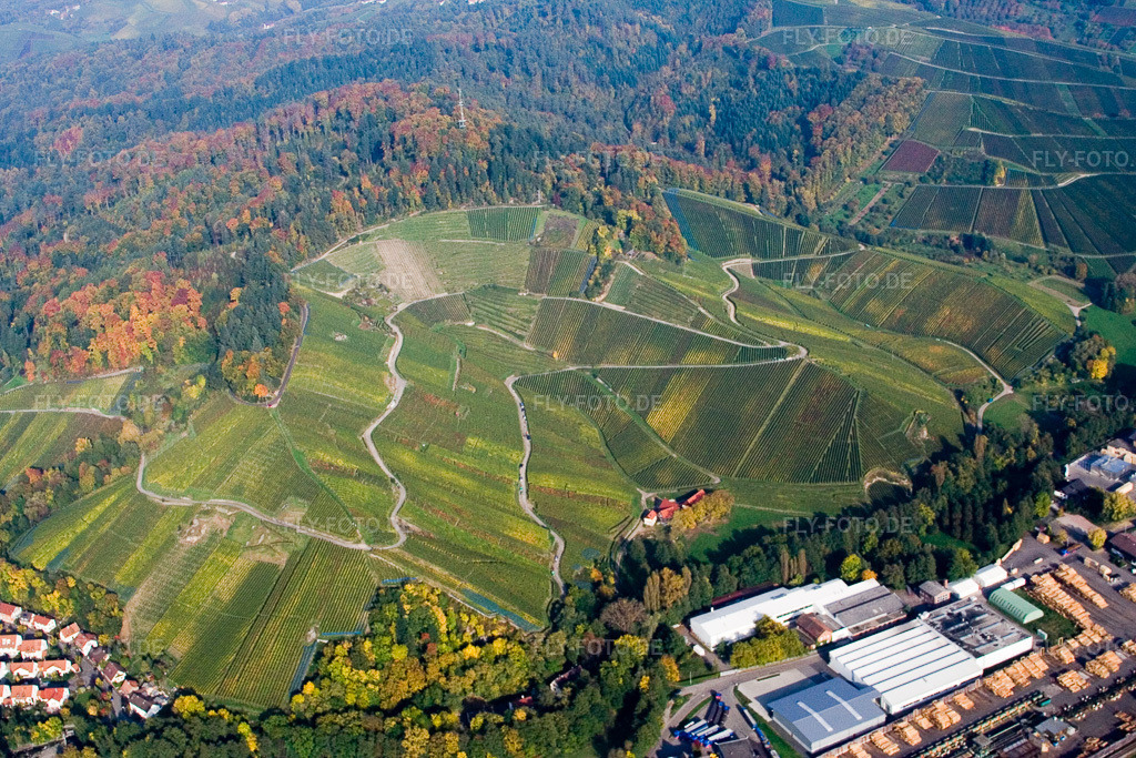 Luftbild: Weinbergs- Landschaft der Winzer- Gebiete oberhalb des Schwarzwald Sägewerks im Ortsteil Oberachern in Achern im Bundesland Baden-Württemberg in Deutschland. Foto: IMG_13945.jpg vom 11.10.2008 durch Werner Riehm/FLY-FOTO.de