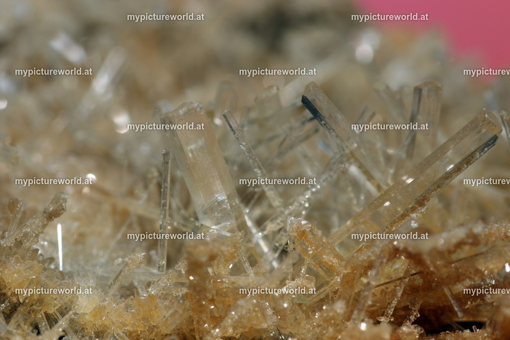 Gipsspat-003 | Das Bilderarchiv über Tiere, Planzen und Landschaften. In der Bilddatenbank finden Sie ein große Auswahl an hochwertigen Bilder für Ihre Werbung - Realisiert mit Pictrs.com