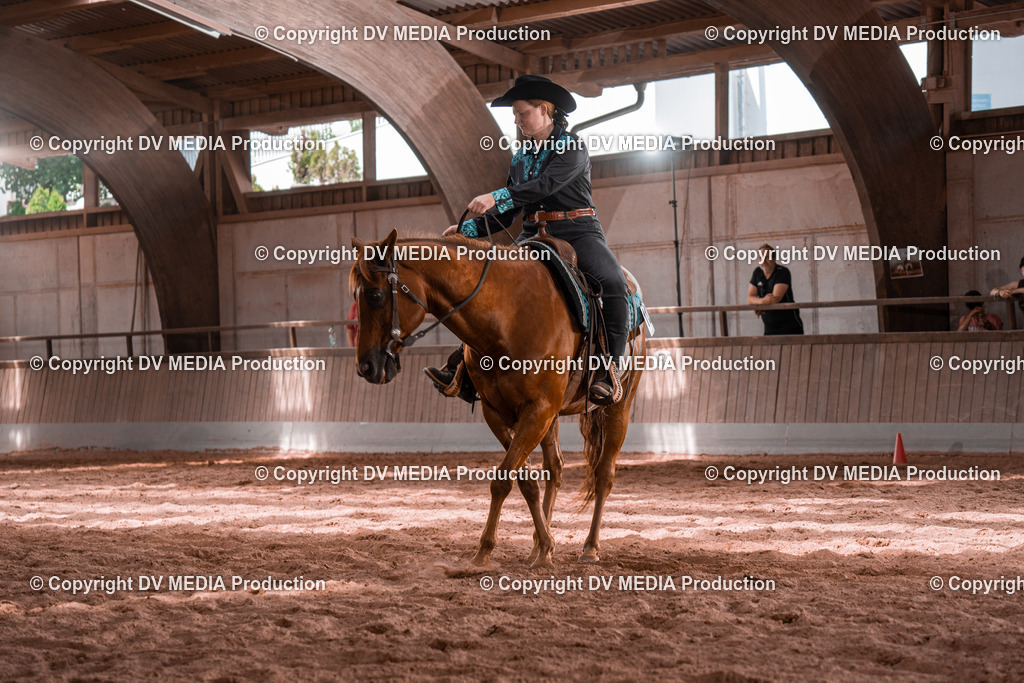 NE100599 | dv-media-shop - Realisiert mit Pictrs.com