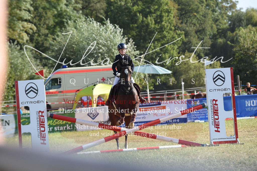 DSC_5704 | Pferde- und Turnierfotografie in Westsachsen. Pferdeportraits, Auftragszeichnungen und intuitive Kunst.