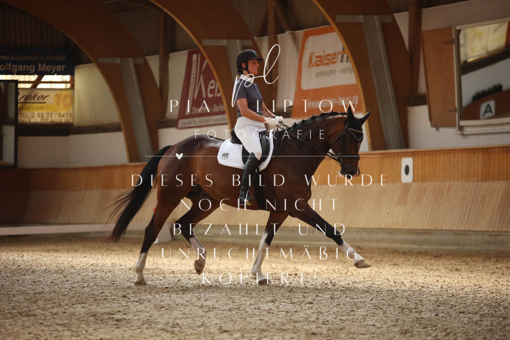 IMGS2240 | pl-fotografie