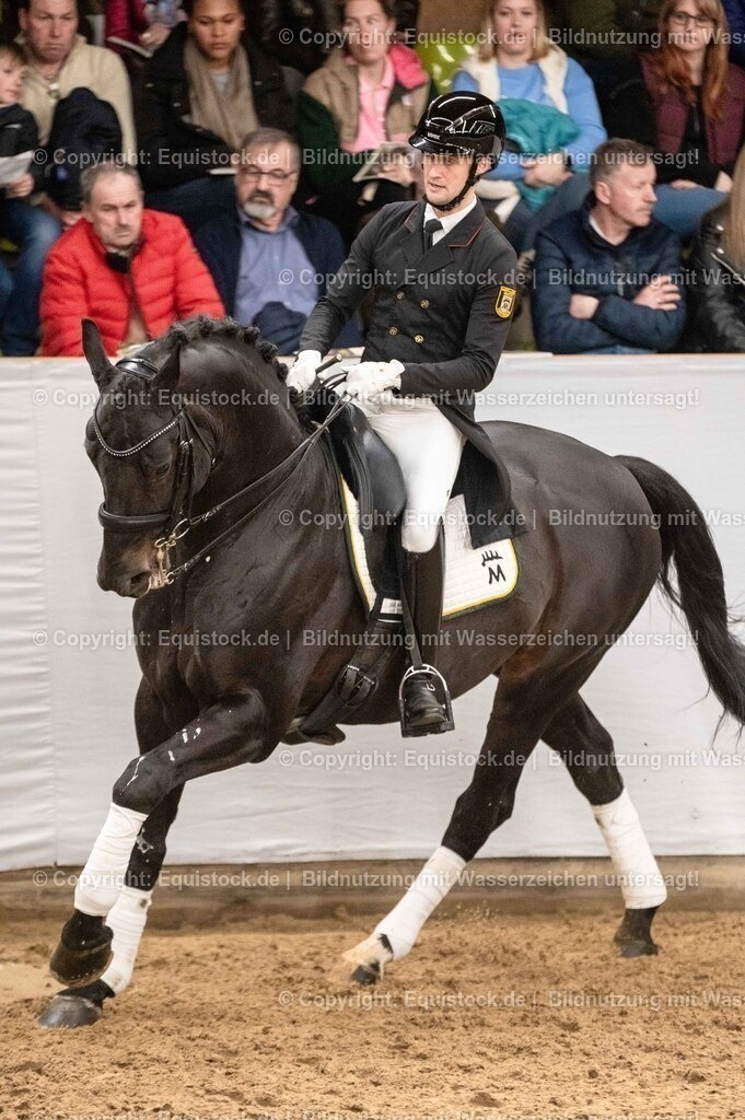 20260307_Hengstvorstellung-Marbach_0482 | equistock