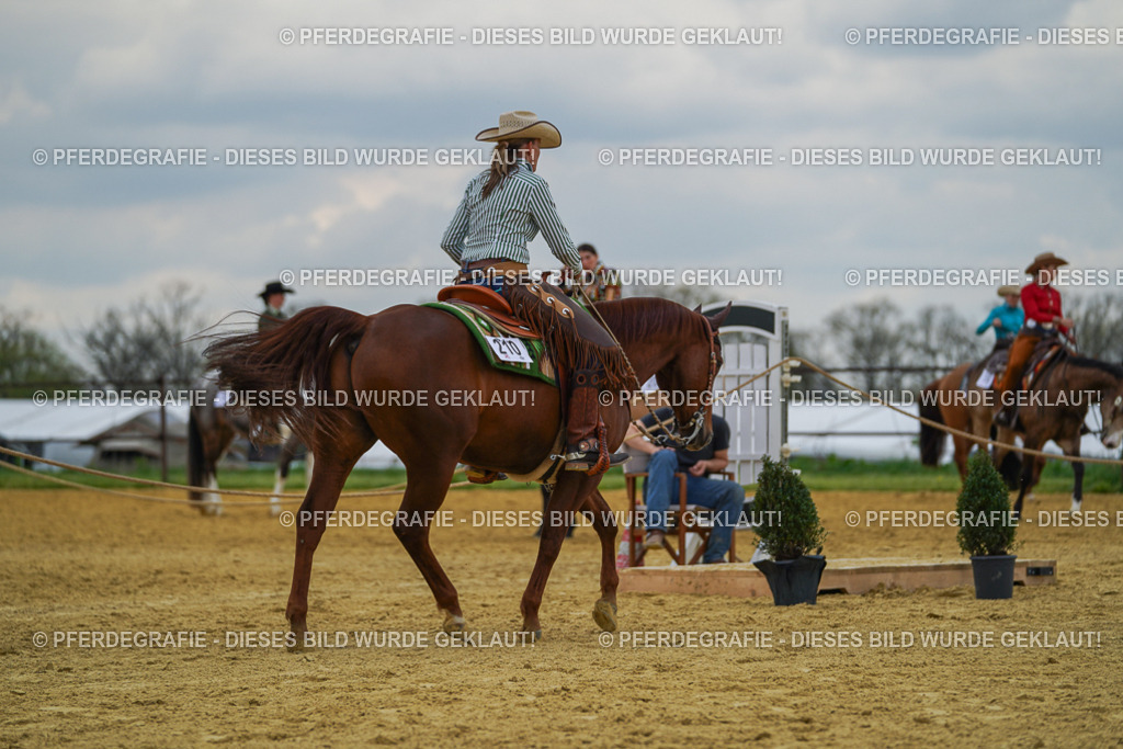 DSC06880 | Pferdegrafie