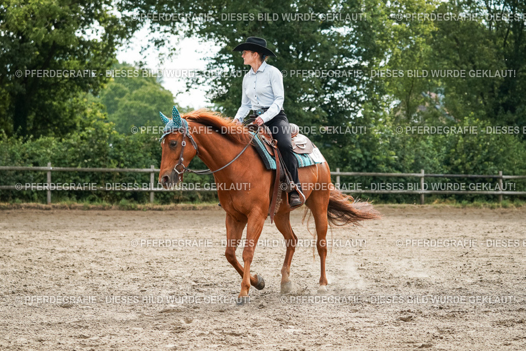 DSC03834 | Pferdegrafie