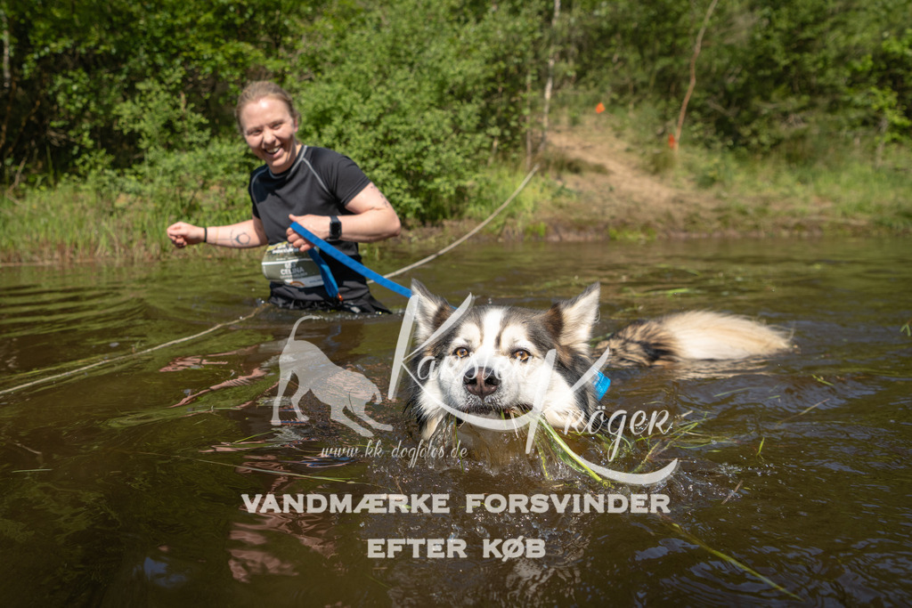 1016DKK990347 | kk-dogfotos